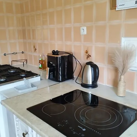 Holiday home Rica House *